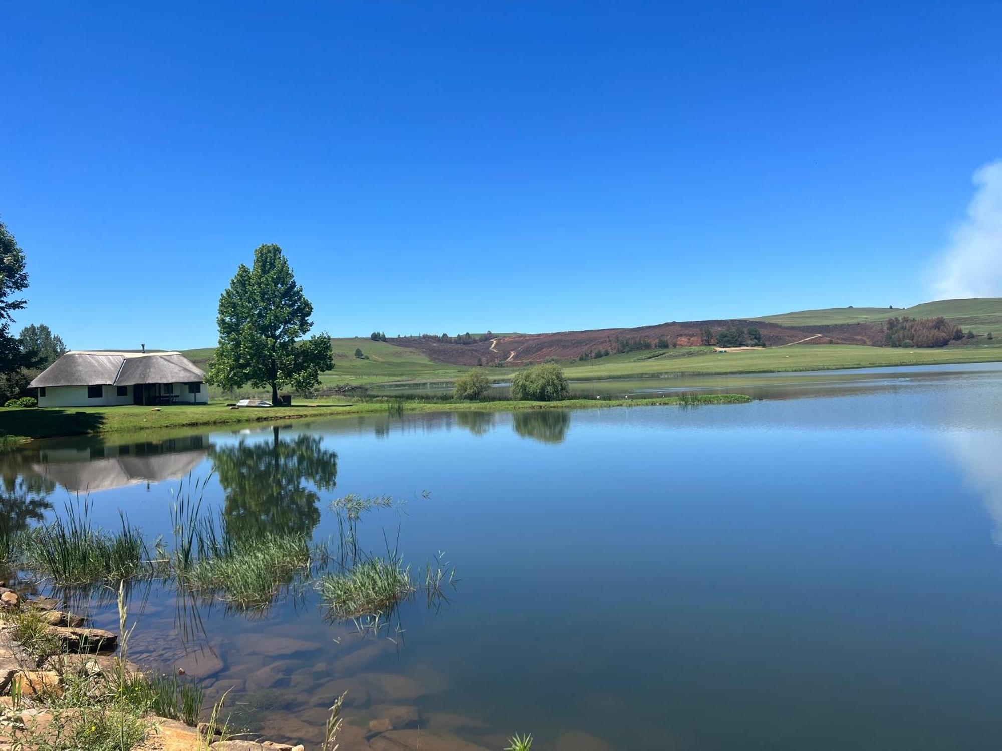 Dieu Donne Cottage Underberg Bagian luar foto