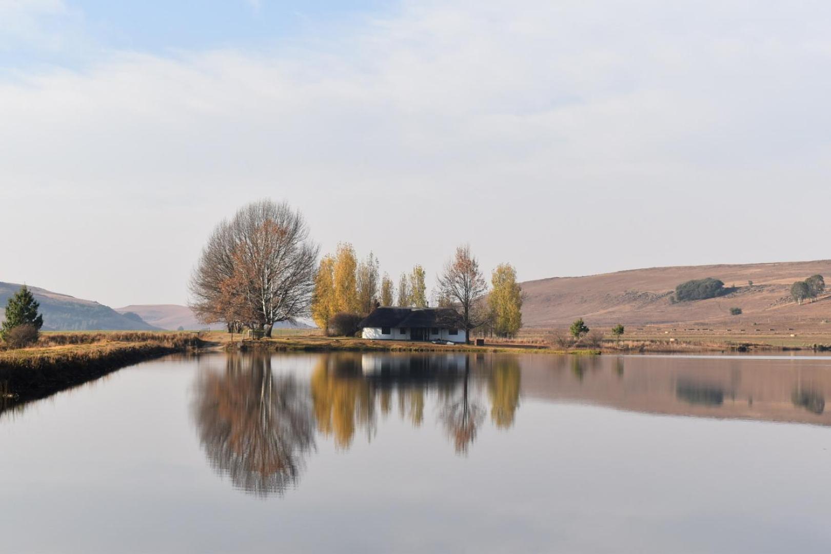 Dieu Donne Cottage Underberg Bagian luar foto