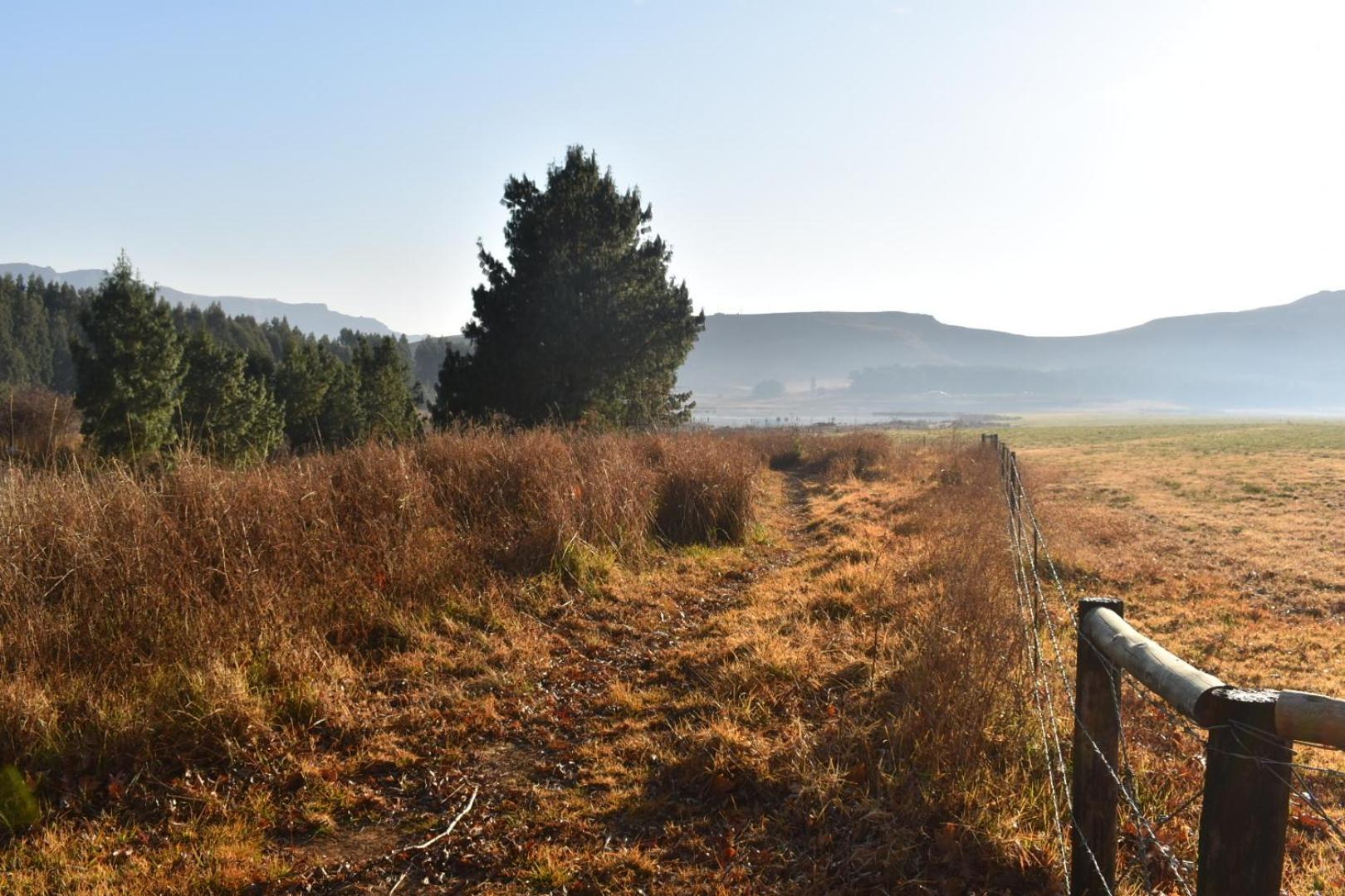 Dieu Donne Cottage Underberg Bagian luar foto