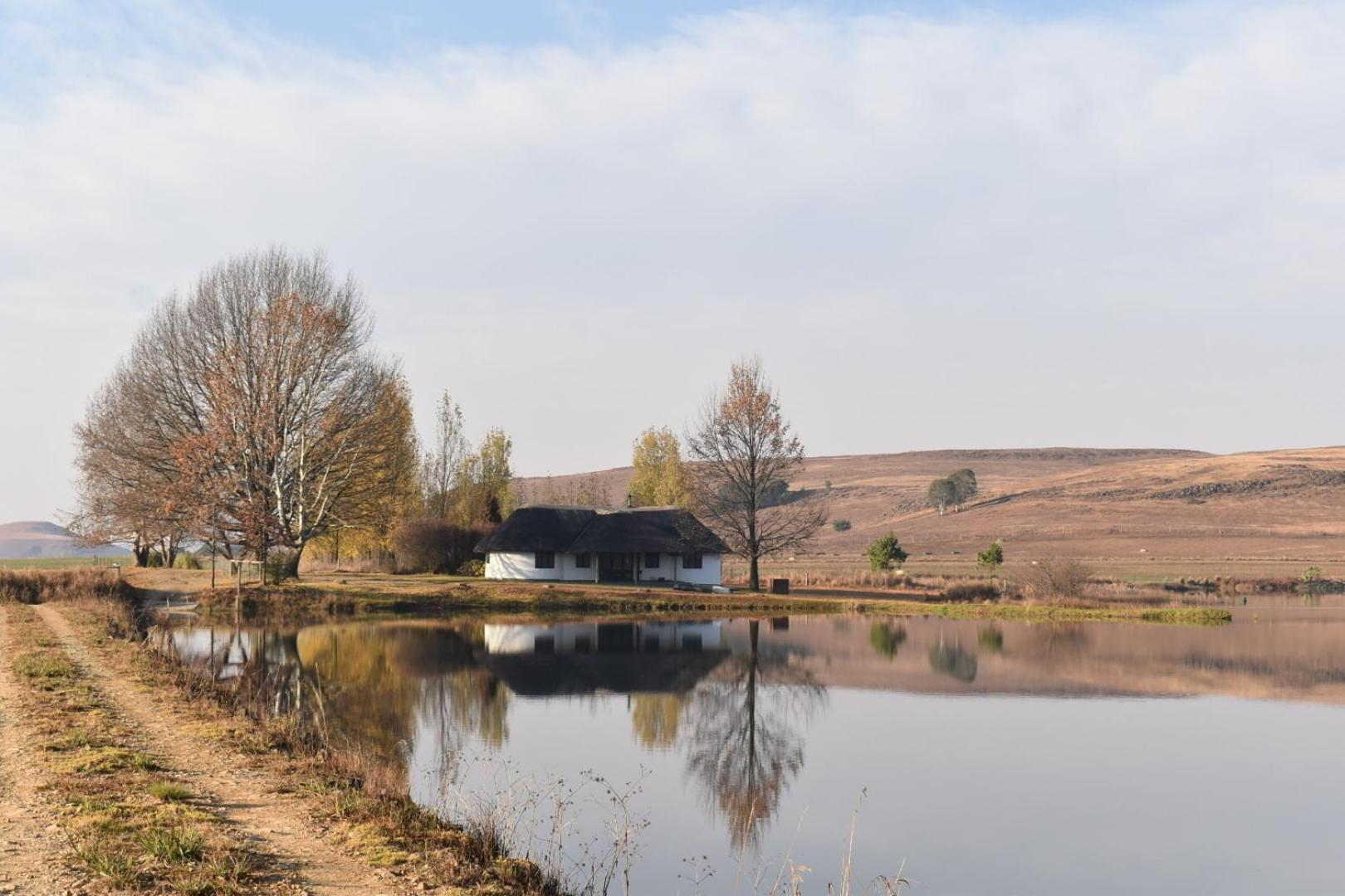 Dieu Donne Cottage Underberg Bagian luar foto