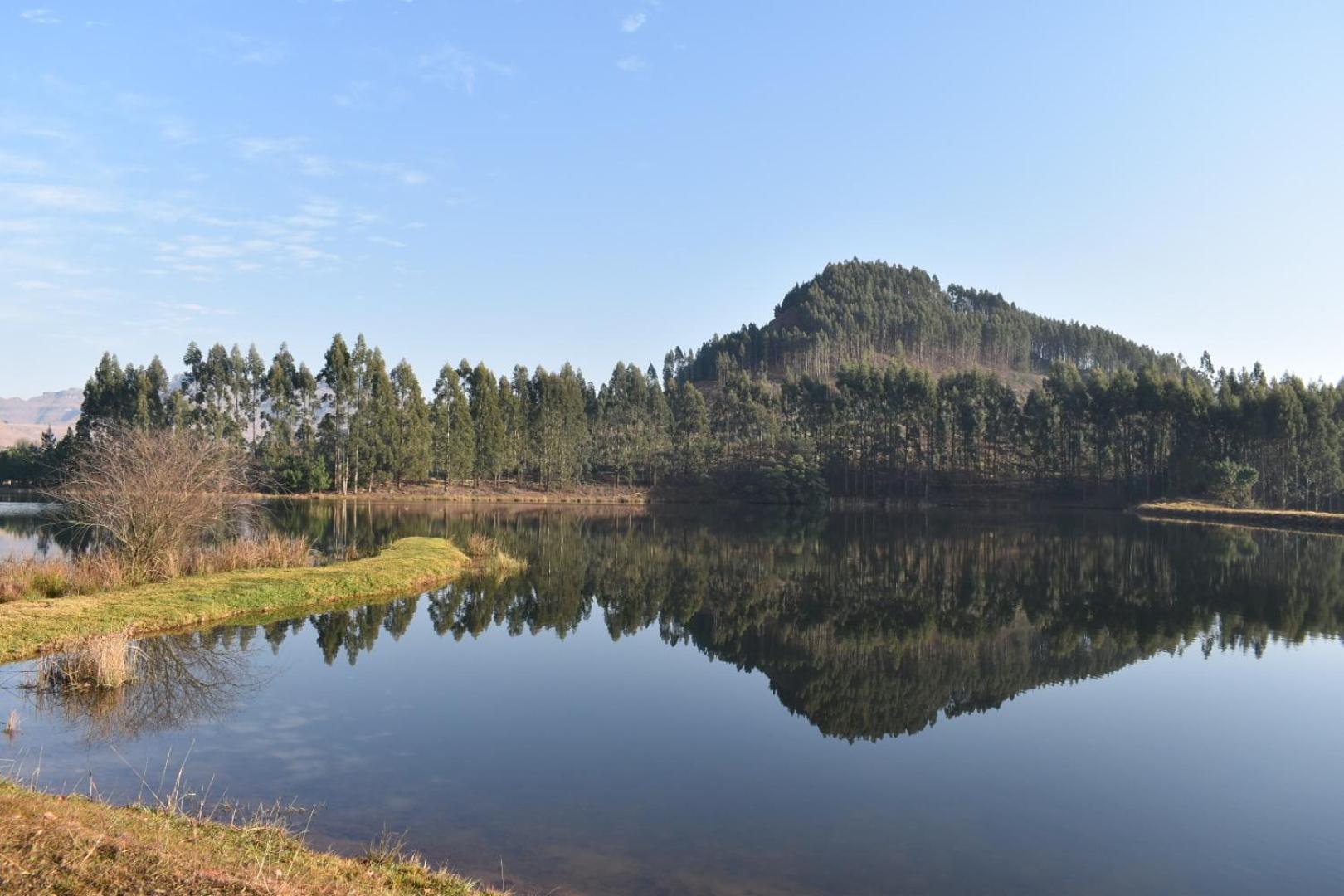 Dieu Donne Cottage Underberg Bagian luar foto